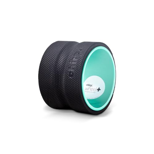 Wheel+ Foam Roller, Back & Neck Pain Relief, Mint 6-Inch