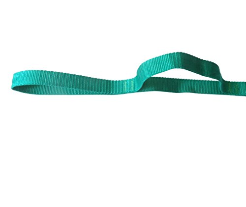 Physical Therapy Stretch Strap - 10-Loop 73-inch Rehab Strap with Instructional Guide for Rehab, Stretching, Yoga. - view 2