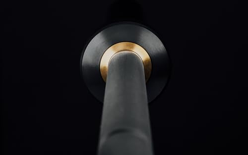 Fitness Mesa Technique Barbell, 15 lb Aluminum Olympic Bar - view 3