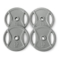 1-Inch Grip Weight Plates, Cast Iron, Strength Training, Home Gym