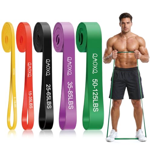 Resistance Bands Set, Workout & Pull Up Assistance Bands for Home Gym