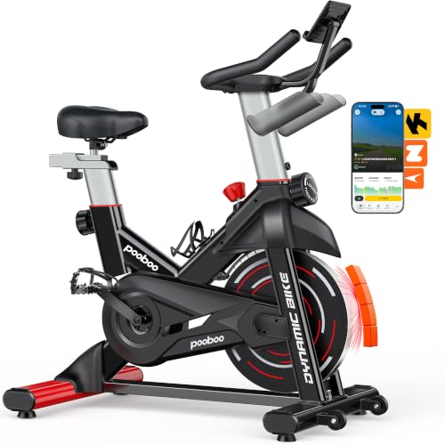 Magnetic Exercise Bike, Indoor Stationary Bicycle for Home with App
