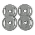 1-Inch Grip Weight Plates, Cast Iron, Strength Training, Home Gym