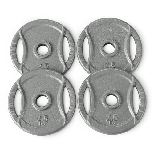 1-Inch Grip Weight Plates, Cast Iron, Strength Training, Home Gym