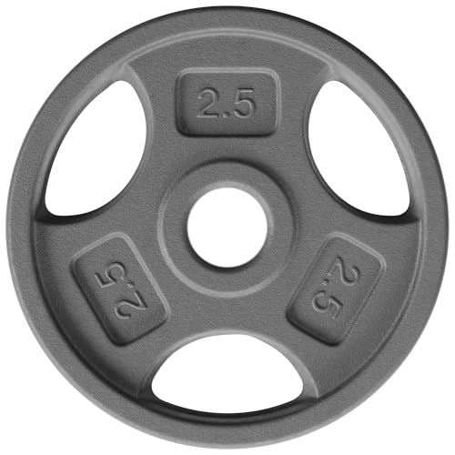 1 Inch Grip Weight Plates, Cast Iron Strength Training