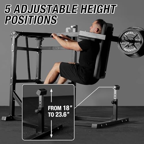 Pendulum Squat Machine, Plate Loaded Hack Squat Machine, Lower Body Strength Training, Leverage Squat Machine Home Gym - view 4