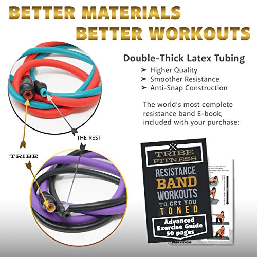 Resistance Bands Set with Loop Bands I Bands for Men&Women with Workout Bands, Loop Bands, Handles, Door Anchor, Ankle Strap, Exercise eBook I Resistance Training Fitness EquipMen&Women - view 2