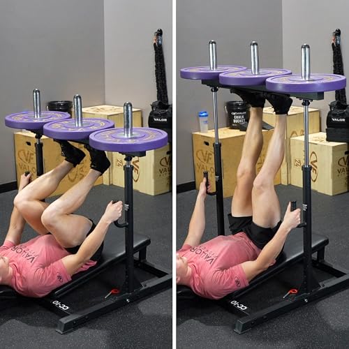 Vertical Leg Press and Hack Squat Machine - view 4