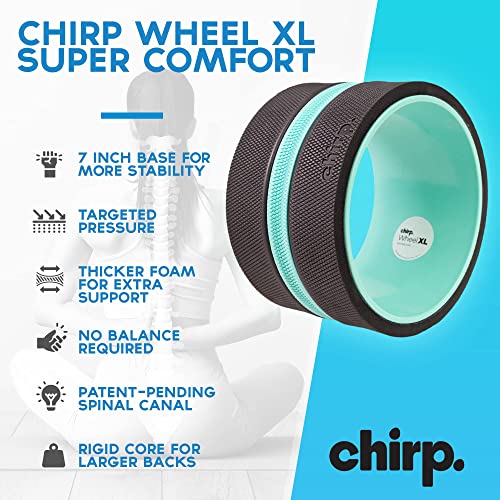 Ultimate Wellness Bundle XL Wheel, RPM Massager & 3-Pc Foam Roller Set - view 5