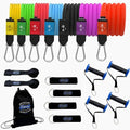 Patented Basic Series Resistance Band Set - Resistance Bands with Snap Reduction Tech, 2 Handles, 2 Ankle Straps, 1 Door Anchor & 1 Carry Bag