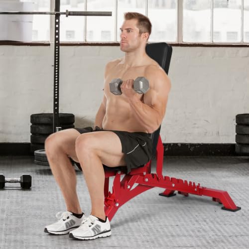 Weight Bench Adjustable Workout Bench for Home Gym Strength - view 2