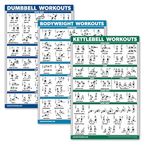 QuickFit 3 x Dumbbell Training Charts + Kettlebell Exercises + Body Weight Routine Poster